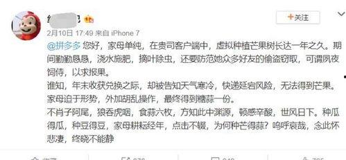 娱乐吃瓜酱文言文怎么说,古风版副标题概览